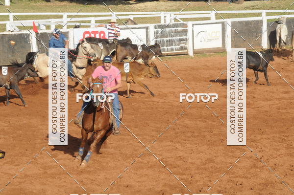 Buy your photos of the eventTEAM PENNING  GRANDE FINAL CAMARU on Fotop