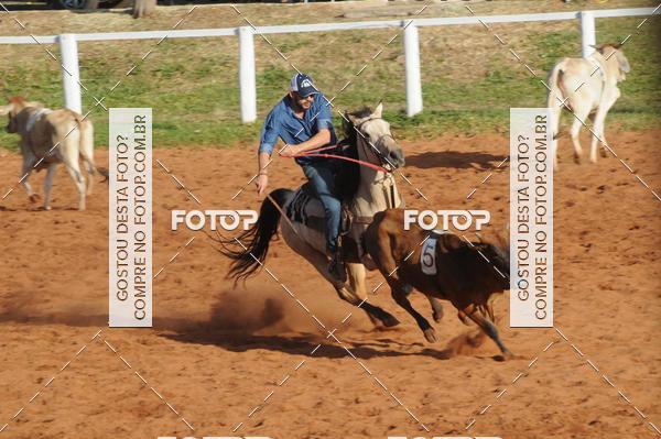 Buy your photos of the eventTEAM PENNING  GRANDE FINAL CAMARU on Fotop