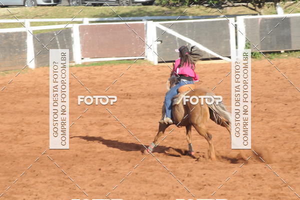 Buy your photos of the eventTEAM PENNING  GRANDE FINAL CAMARU on Fotop