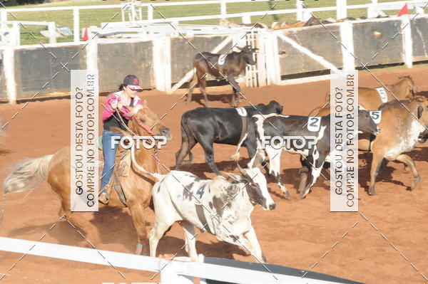 Buy your photos of the eventTEAM PENNING  GRANDE FINAL CAMARU on Fotop