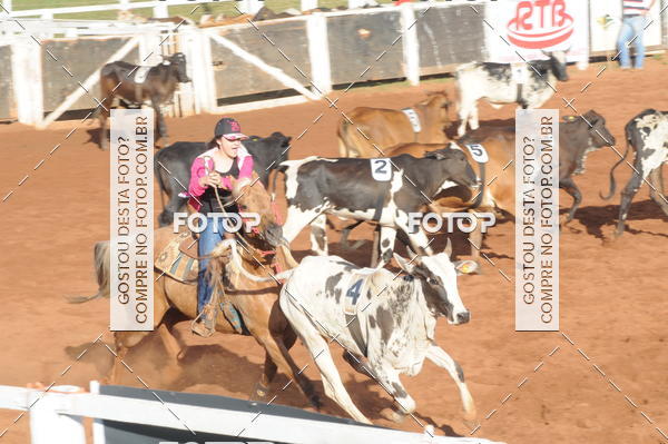 Buy your photos of the eventTEAM PENNING  GRANDE FINAL CAMARU on Fotop