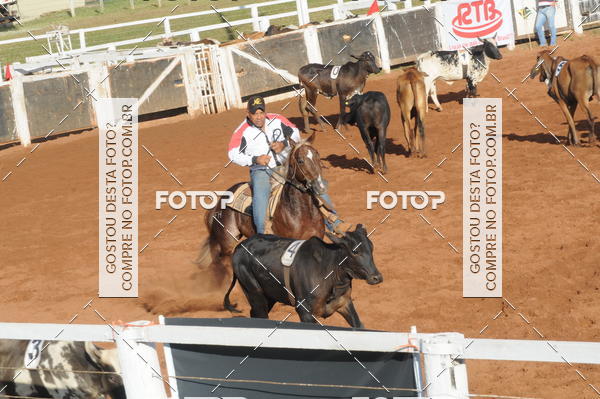 Buy your photos of the eventTEAM PENNING  GRANDE FINAL CAMARU on Fotop