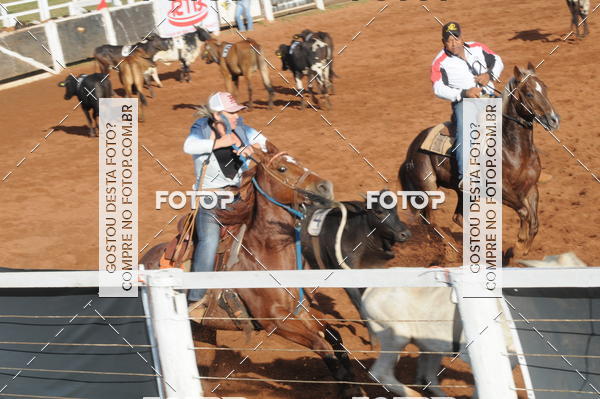 Buy your photos of the eventTEAM PENNING  GRANDE FINAL CAMARU on Fotop