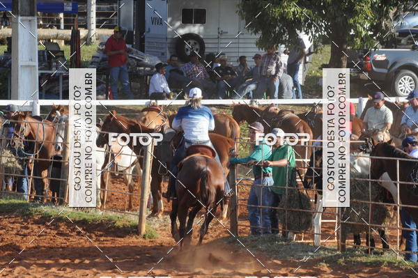 Buy your photos of the eventTEAM PENNING  GRANDE FINAL CAMARU on Fotop