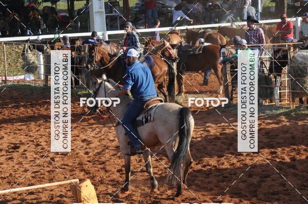 Buy your photos of the eventTEAM PENNING  GRANDE FINAL CAMARU on Fotop