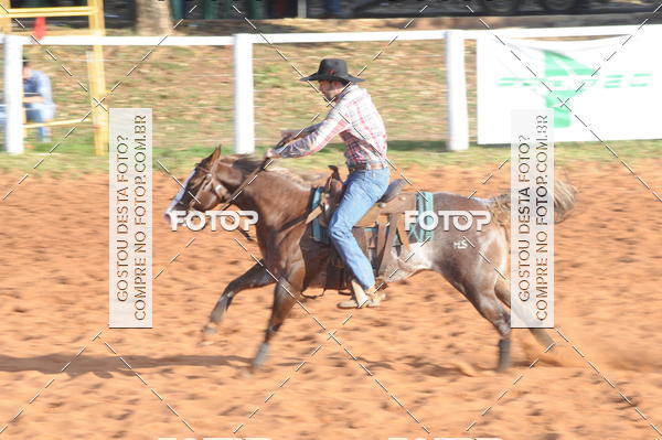 Buy your photos of the eventTEAM PENNING  GRANDE FINAL CAMARU on Fotop