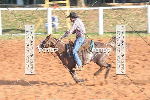 Buy your photos of the eventTEAM PENNING  GRANDE FINAL CAMARU on Fotop