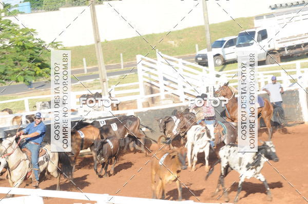 Buy your photos of the eventTEAM PENNING  GRANDE FINAL CAMARU on Fotop