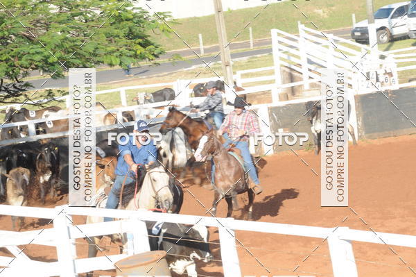 Buy your photos of the eventTEAM PENNING  GRANDE FINAL CAMARU on Fotop
