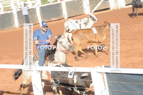 Buy your photos of the eventTEAM PENNING  GRANDE FINAL CAMARU on Fotop