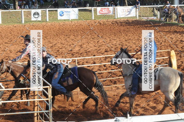 Buy your photos of the eventTEAM PENNING  GRANDE FINAL CAMARU on Fotop
