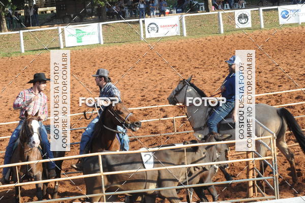 Buy your photos of the eventTEAM PENNING  GRANDE FINAL CAMARU on Fotop