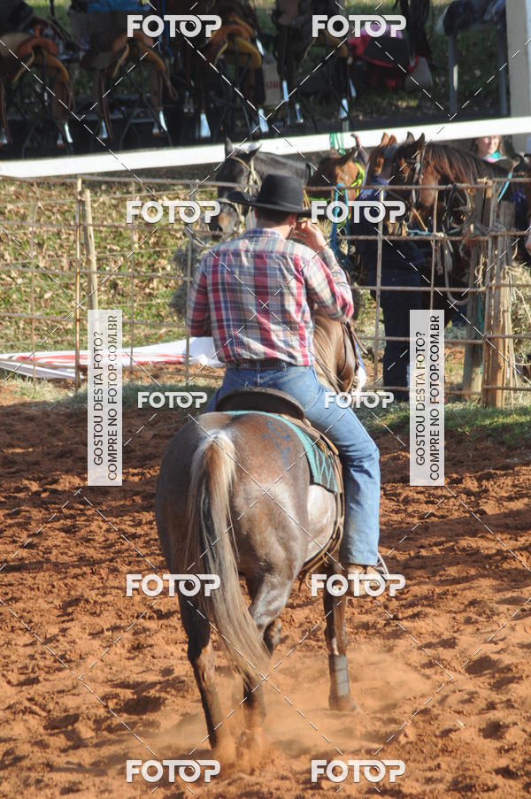 Buy your photos of the eventTEAM PENNING  GRANDE FINAL CAMARU on Fotop