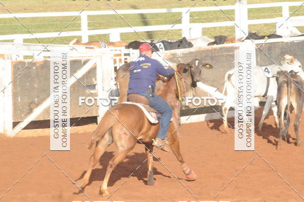 Buy your photos of the eventTEAM PENNING  GRANDE FINAL CAMARU on Fotop