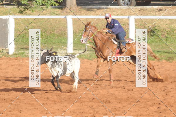 Buy your photos of the eventTEAM PENNING  GRANDE FINAL CAMARU on Fotop