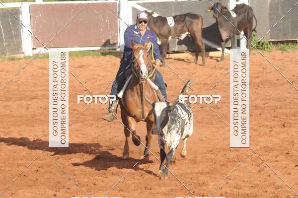 Buy your photos of the eventTEAM PENNING  GRANDE FINAL CAMARU on Fotop