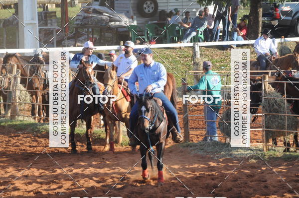 Buy your photos of the eventTEAM PENNING  GRANDE FINAL CAMARU on Fotop
