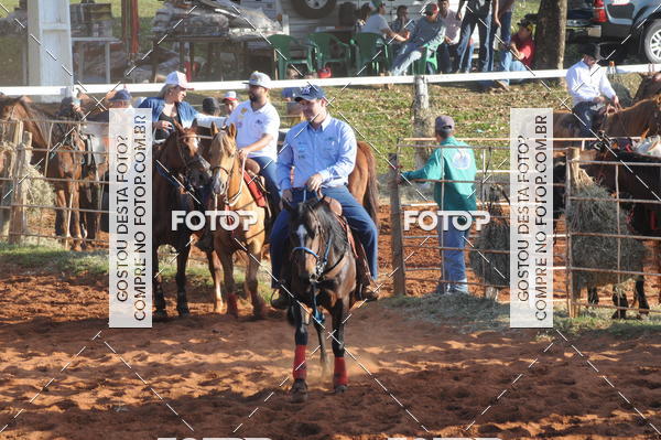 Buy your photos of the eventTEAM PENNING  GRANDE FINAL CAMARU on Fotop