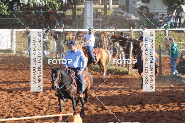 Buy your photos of the eventTEAM PENNING  GRANDE FINAL CAMARU on Fotop