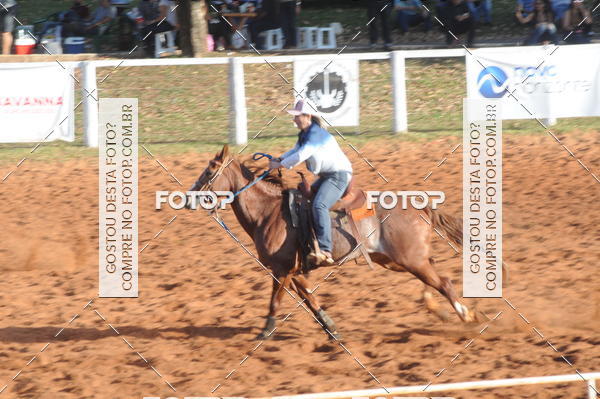 Buy your photos of the eventTEAM PENNING  GRANDE FINAL CAMARU on Fotop