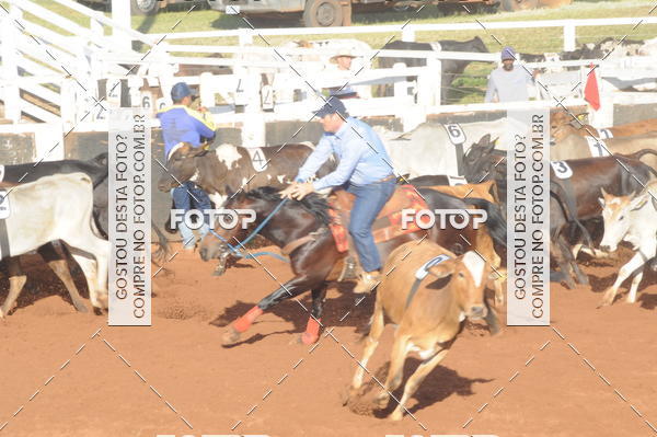 Buy your photos of the eventTEAM PENNING  GRANDE FINAL CAMARU on Fotop