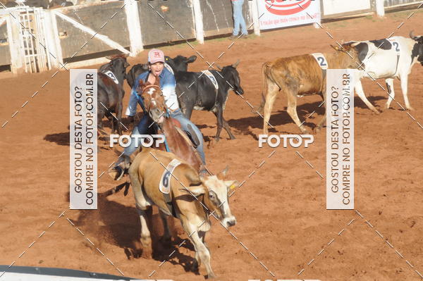 Buy your photos of the eventTEAM PENNING  GRANDE FINAL CAMARU on Fotop