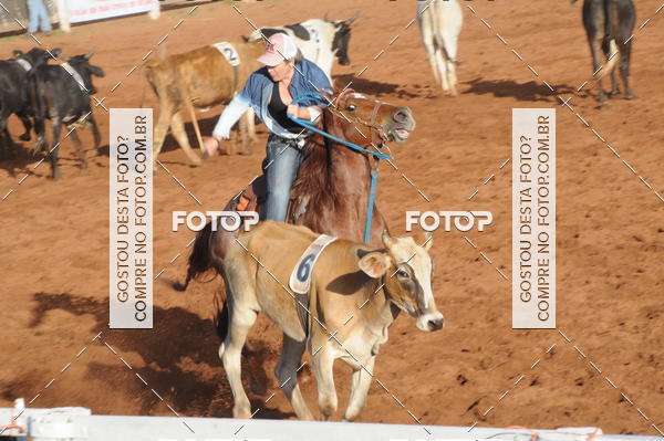 Buy your photos of the eventTEAM PENNING  GRANDE FINAL CAMARU on Fotop