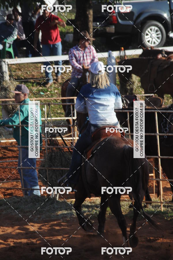 Buy your photos of the eventTEAM PENNING  GRANDE FINAL CAMARU on Fotop