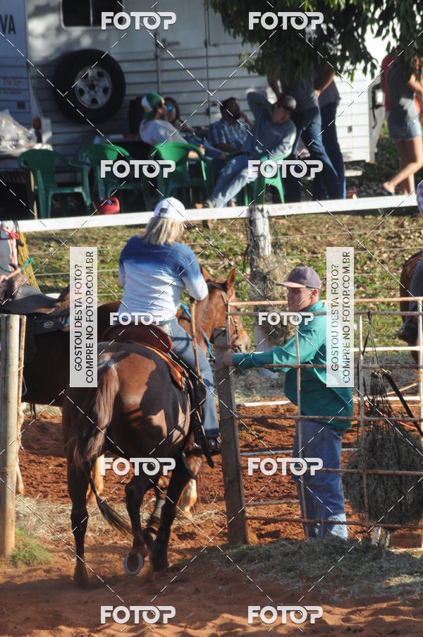 Buy your photos of the eventTEAM PENNING  GRANDE FINAL CAMARU on Fotop