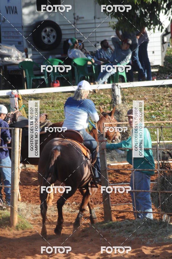 Buy your photos of the eventTEAM PENNING  GRANDE FINAL CAMARU on Fotop
