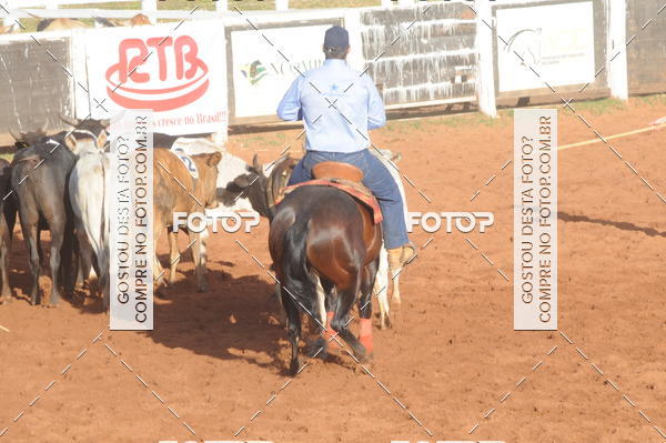 Buy your photos of the eventTEAM PENNING  GRANDE FINAL CAMARU on Fotop
