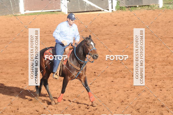 Buy your photos of the eventTEAM PENNING  GRANDE FINAL CAMARU on Fotop