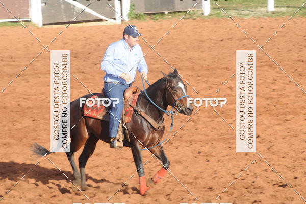 Buy your photos of the eventTEAM PENNING  GRANDE FINAL CAMARU on Fotop
