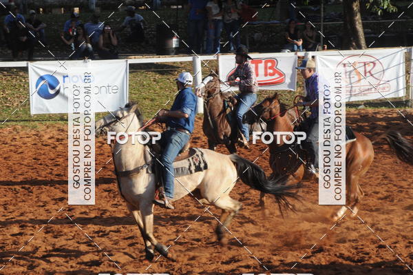 Buy your photos of the eventTEAM PENNING  GRANDE FINAL CAMARU on Fotop