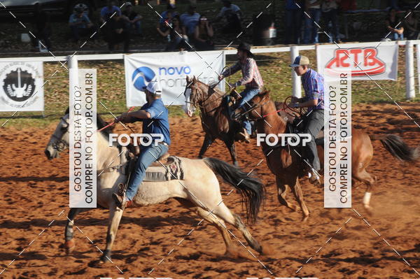 Buy your photos of the eventTEAM PENNING  GRANDE FINAL CAMARU on Fotop