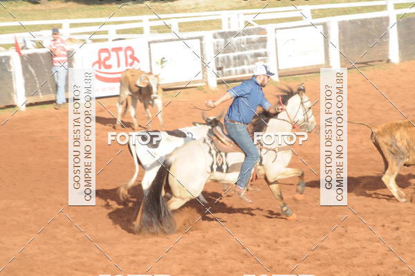Buy your photos of the eventTEAM PENNING  GRANDE FINAL CAMARU on Fotop