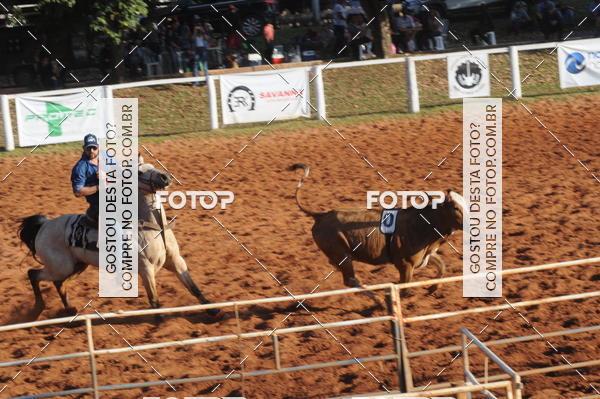 Buy your photos of the eventTEAM PENNING  GRANDE FINAL CAMARU on Fotop