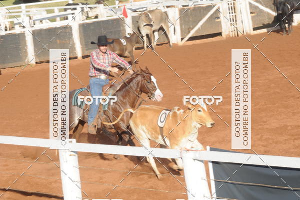 Buy your photos of the eventTEAM PENNING  GRANDE FINAL CAMARU on Fotop