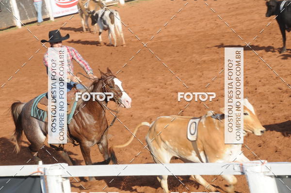 Buy your photos of the eventTEAM PENNING  GRANDE FINAL CAMARU on Fotop