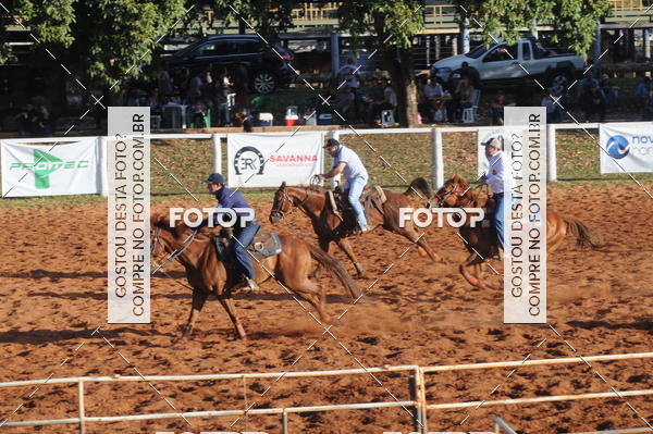 Buy your photos of the eventTEAM PENNING  GRANDE FINAL CAMARU on Fotop