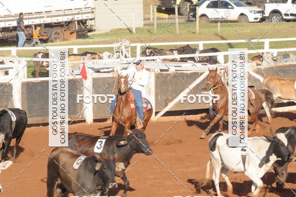 Buy your photos of the eventTEAM PENNING  GRANDE FINAL CAMARU on Fotop