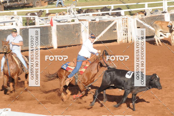 Buy your photos of the eventTEAM PENNING  GRANDE FINAL CAMARU on Fotop
