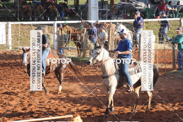 Buy your photos of the eventTEAM PENNING  GRANDE FINAL CAMARU on Fotop