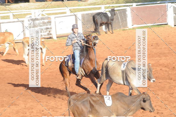 Buy your photos of the eventTEAM PENNING  GRANDE FINAL CAMARU on Fotop