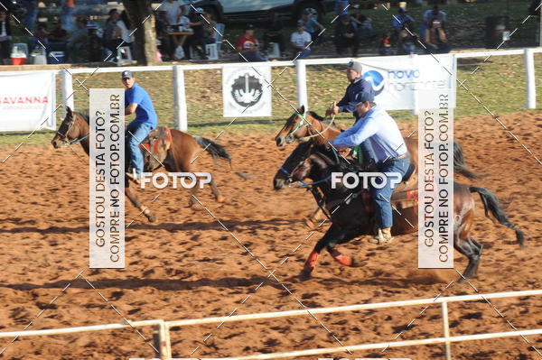 Buy your photos of the eventTEAM PENNING  GRANDE FINAL CAMARU on Fotop