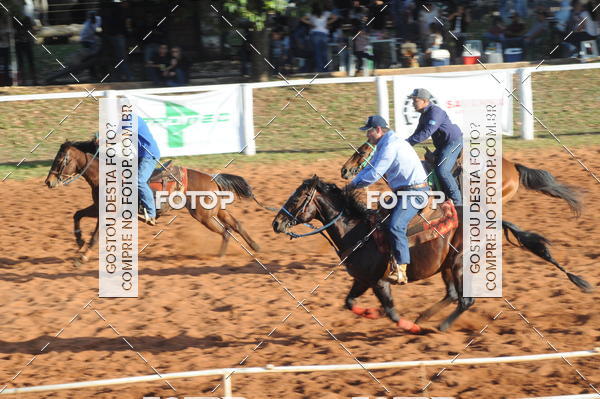 Buy your photos of the eventTEAM PENNING  GRANDE FINAL CAMARU on Fotop