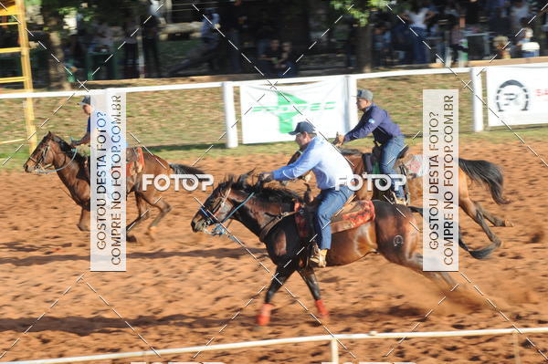 Buy your photos of the eventTEAM PENNING  GRANDE FINAL CAMARU on Fotop