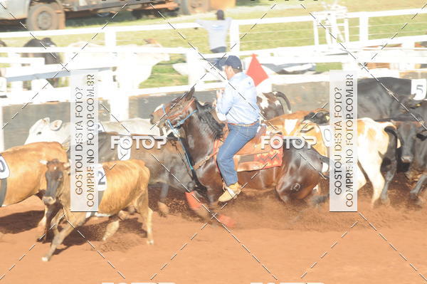 Buy your photos of the eventTEAM PENNING  GRANDE FINAL CAMARU on Fotop