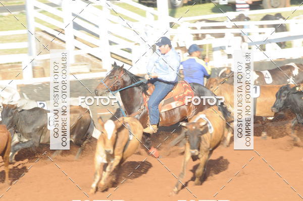Buy your photos of the eventTEAM PENNING  GRANDE FINAL CAMARU on Fotop