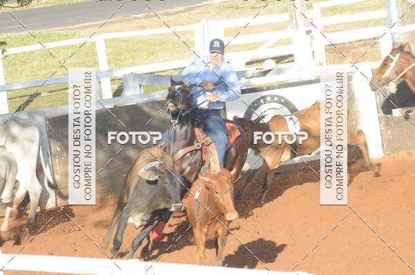 Buy your photos of the eventTEAM PENNING  GRANDE FINAL CAMARU on Fotop